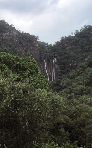 Bheelberi photo 2