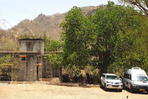 Camp Wolf-kumbalgarh photo 6